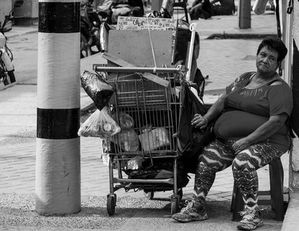 Alimentación